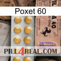 Poxet 60 41